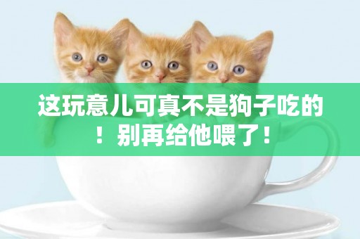 這玩意兒可真不是狗子吃的！別再給他喂了！