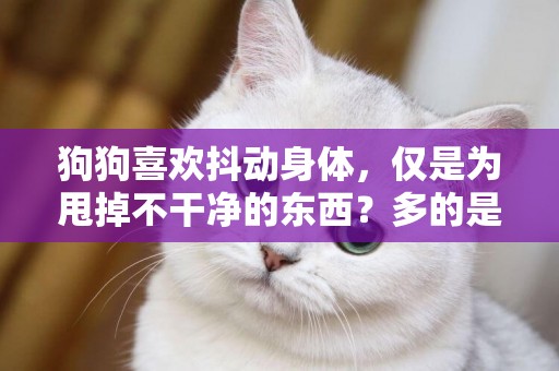 狗狗喜歡抖動身體，僅是為甩掉不干凈的東西？多的是你不了解的事