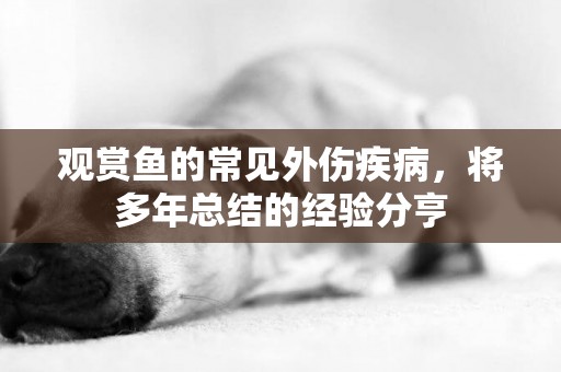 觀賞魚的常見外傷疾病，將多年總結的經驗分亨