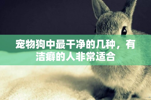 寵物狗中最干凈的幾種，有潔癖的人非常適合