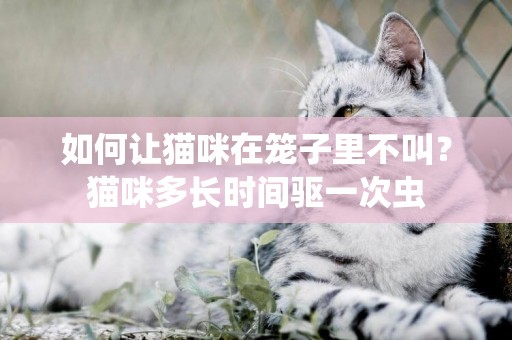 如何讓貓咪在籠子里不叫？貓咪多長時間驅一次蟲