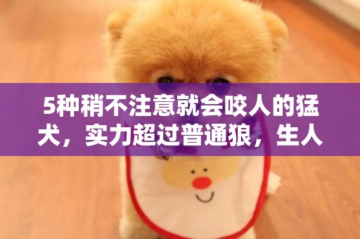 5種稍不注意就會咬人的猛犬，實力超過普通狼，生人敢靠近就咬