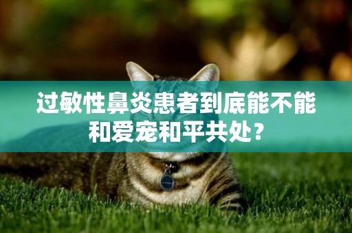 過敏性鼻炎患者到底能不能和愛寵和平共處？