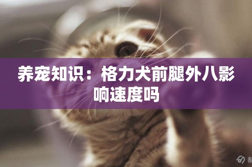 養寵知識：格力犬前腿外八影響速度嗎