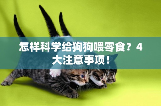 怎樣科學給狗狗喂零食？4大注意事項！