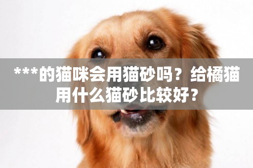 ***的貓咪會用貓砂嗎？給橘貓用什么貓砂比較好？