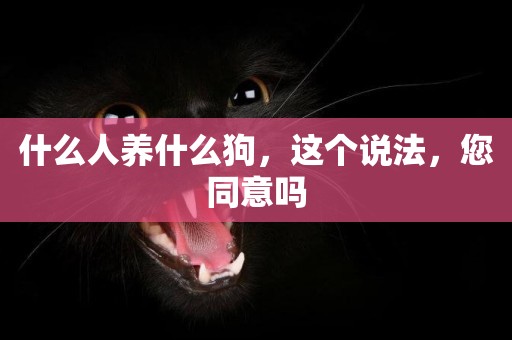 什么人養什么狗，這個說法，您同意嗎