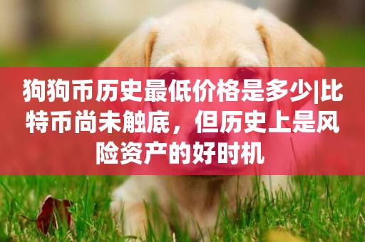 狗狗幣歷史最低價格是多少|比特幣尚未觸底，但歷史上是風險資產的好時機 