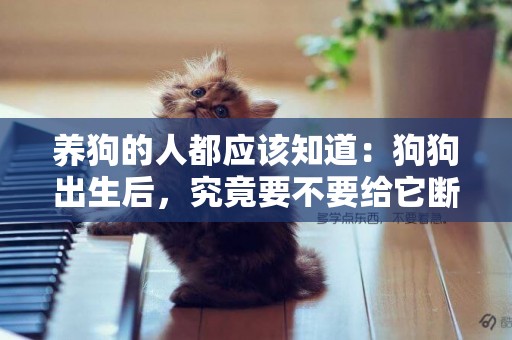 養狗的人都應該知道：狗狗出生后，究竟要不要給它斷尾？