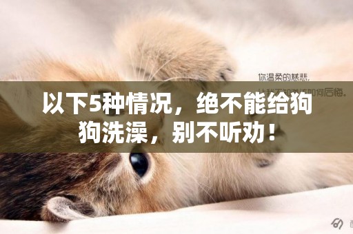 以下5種情況，絕不能給狗狗洗澡，別不聽勸！
