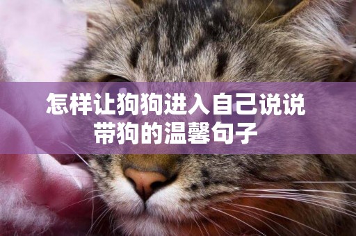 怎樣讓狗狗進入自己說說 帶狗的溫馨句子 
