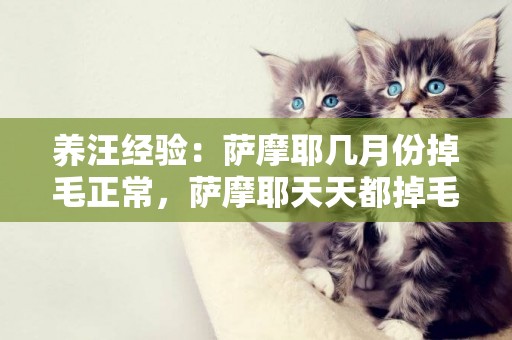 養汪經驗：薩摩耶幾月份掉毛正常，薩摩耶天天都掉毛正常嗎