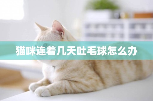 貓咪連著幾天吐毛球怎么辦