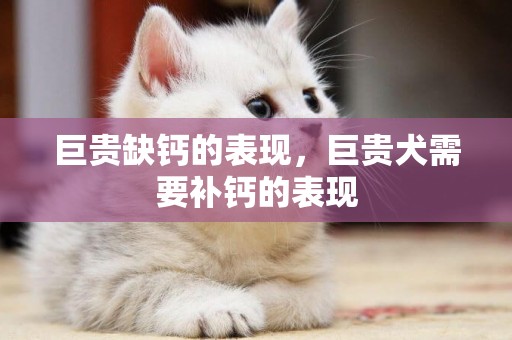 巨貴缺鈣的表現，巨貴犬需要補鈣的表現
