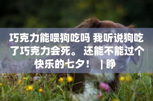 巧克力能喂狗吃嗎 我聽說狗吃了巧克力會死。 還能不能過個快樂的七夕！  | 睜 