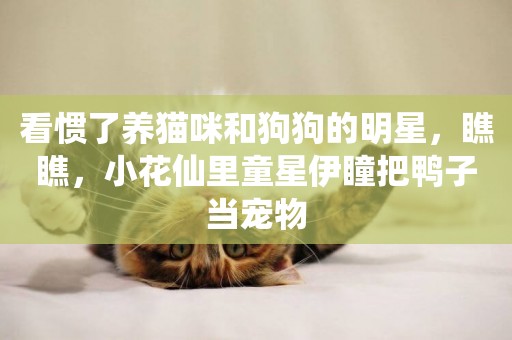 看慣了養貓咪和狗狗的明星，瞧瞧，小花仙里童星伊瞳把鴨子當寵物