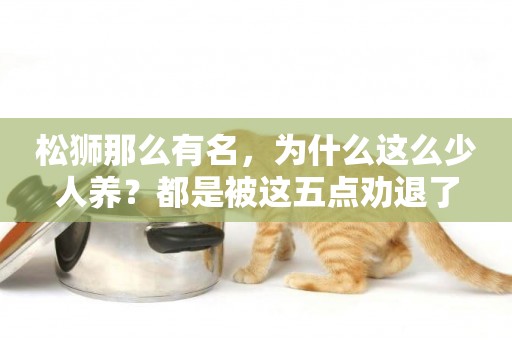 松獅那么有名，為什么這么少人養？都是被這五點勸退了