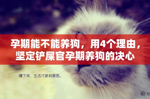 孕期能不能養狗，用4個理由，堅定鏟屎官孕期養狗的決心