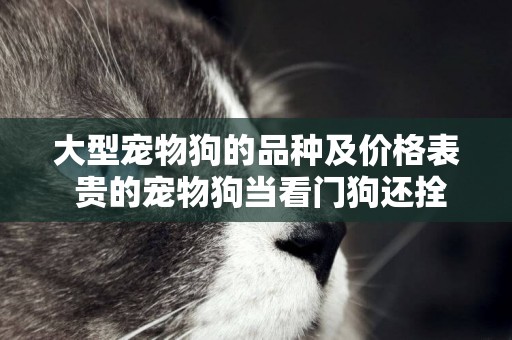 大型寵物狗的品種及價格表 貴的寵物狗當看門狗還拴在羊圈？小哥撿漏花400帶走 