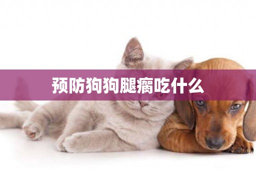 預防狗狗腿瘸吃什么