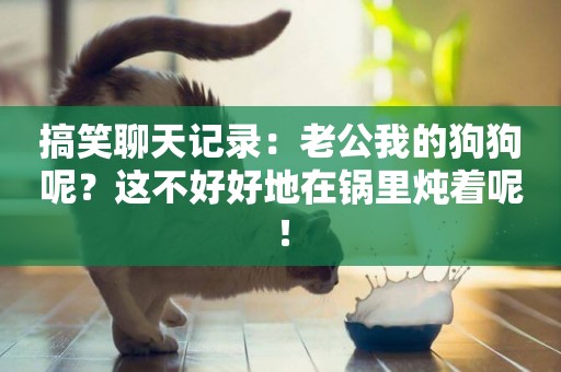 搞笑聊天記錄：老公我的狗狗呢？這不好好地在鍋里燉著呢！