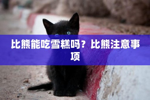 比熊能吃雪糕嗎？比熊注意事項