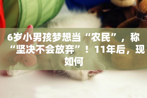 6歲小男孩夢想當“農民”，稱“堅決不會放棄”！11年后，現如何