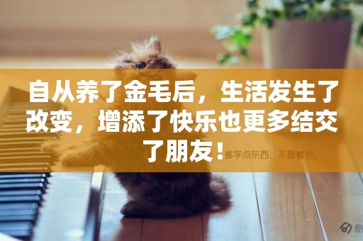 自從養了金毛后，生活發生了改變，增添了快樂也更多結交了朋友！