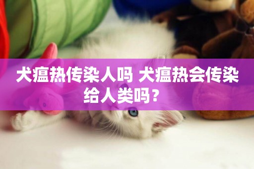 犬瘟熱傳染人嗎 犬瘟熱會傳染給人類嗎？ 
