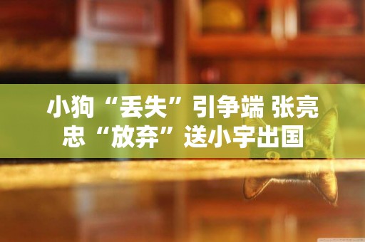 小狗“丟失”引爭端 張亮忠“放棄”送小宇出國