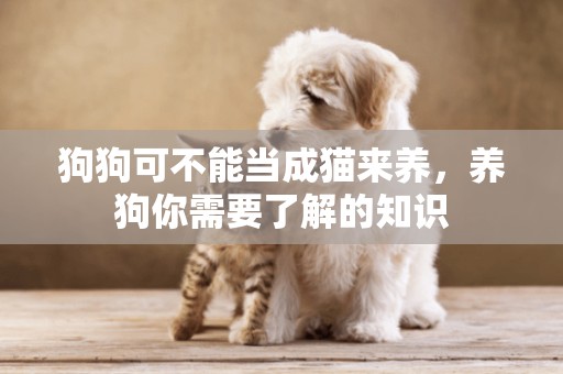 狗狗可不能當成貓來養，養狗你需要了解的知識