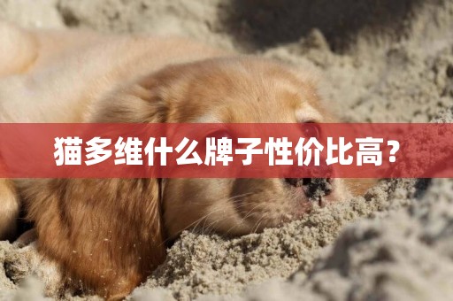 貓多維什么牌子性價比高？