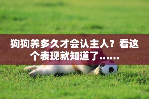 狗狗養多久才會認主人？看這個表現就知道了……