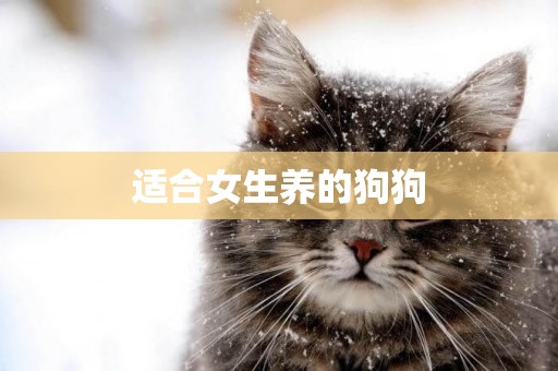 適合女生養的狗狗