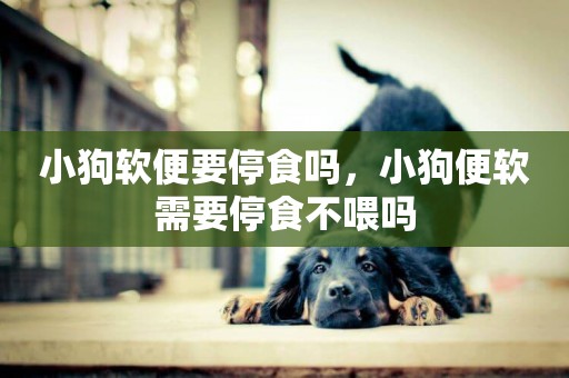 小狗軟便要停食嗎，小狗便軟需要停食不喂嗎