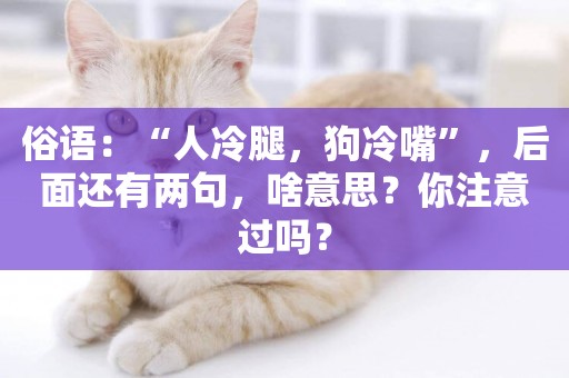 俗語：“人冷腿，狗冷嘴”，后面還有兩句，啥意思？你注意過嗎？