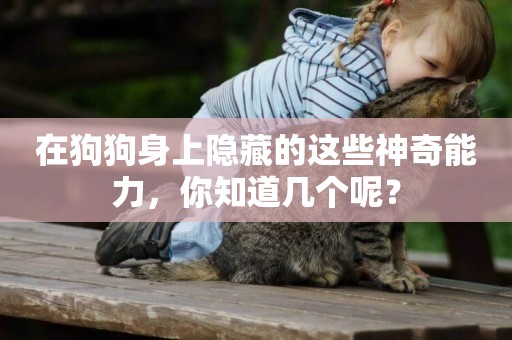 在狗狗身上隱藏的這些神奇能力，你知道幾個呢？