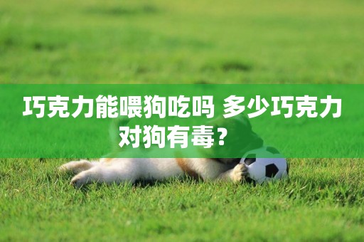 巧克力能喂狗吃嗎 多少巧克力對狗有毒？ 