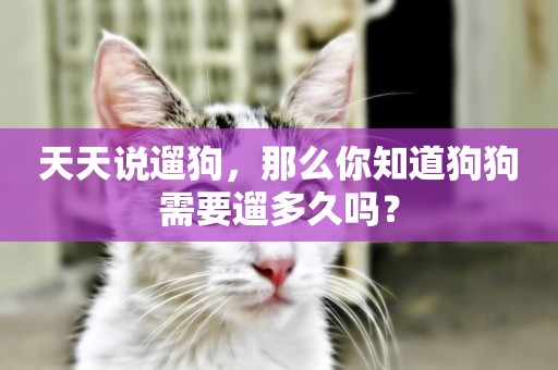 天天說遛狗，那么你知道狗狗需要遛多久嗎？