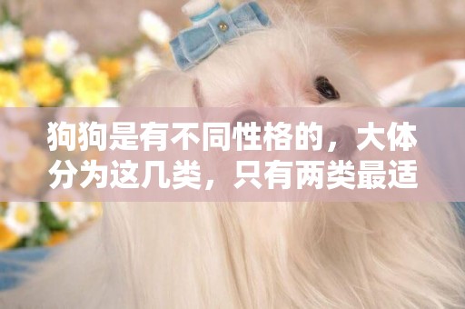 狗狗是有不同性格的，大體分為這幾類，只有兩類最適合當寵物犬