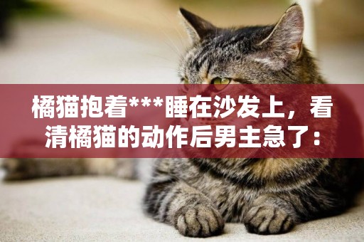 橘貓抱著***睡在沙發上，看清橘貓的動作后男主急了：放開***！