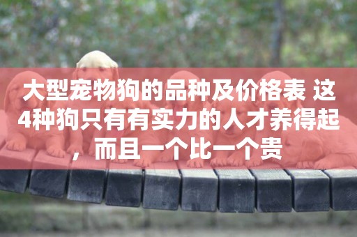 大型寵物狗的品種及價格表 這4種狗只有有實力的人才養得起，而且一個比一個貴 