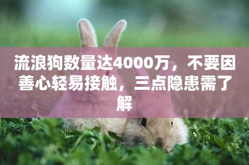 流浪狗數量達4000萬，不要因善心輕易接觸，三點隱患需了解