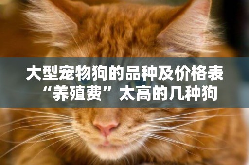大型寵物狗的品種及價格表 “養殖費”太高的幾種狗，只有家里有礦才敢養 