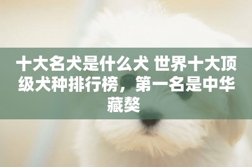 十大名犬是什么犬 世界十大頂級犬種排行榜，第一名是中華藏獒 