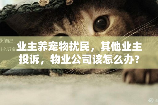 業主養寵物擾民，其他業主投訴，物業公司該怎么辦？