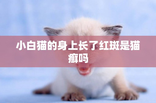 小白貓的身上長了紅斑是貓癬嗎