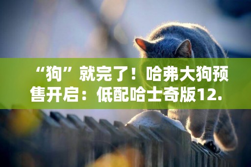 “狗”就完了！哈弗大狗預售開啟：低配哈士奇版12.5萬起售