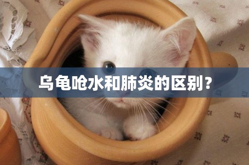 烏龜嗆水和肺炎的區別？