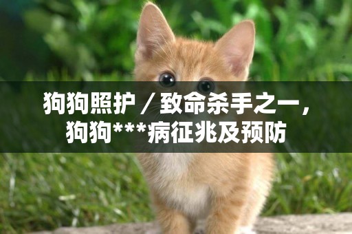 狗狗照護／致命殺手之一，狗狗***病征兆及預防